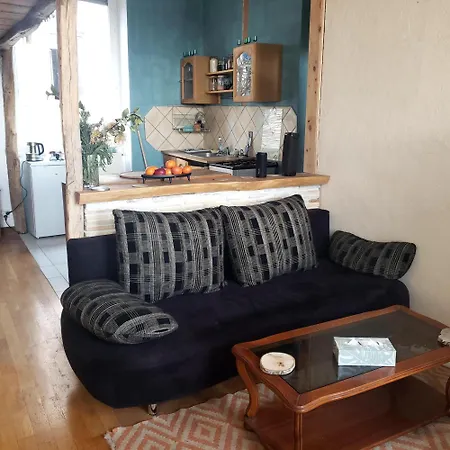 Croix Roussien Appartement Lyon